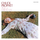 Chuck Prophet - You Did (Bomp Shooby Dooby Bomp)