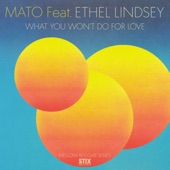 What You Won't Do For Love (feat. Ethel Lindsey) [Mato Mellow Reggae Mix] artwork