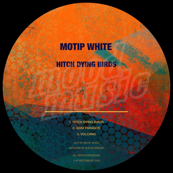 Hitch Dying Birds - Single