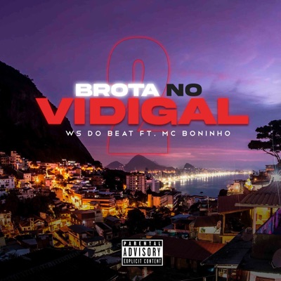 Brota no Vidigal 2 (feat. Mc Boninho) - Single
