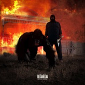 INSANE GORILLA (Extended) artwork