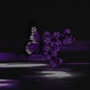 Addiction - Single