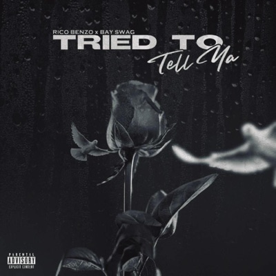 Tried To Tell Ya (feat. Bay Swag) - Single