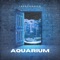 Aquarium (Radio Edit) artwork
