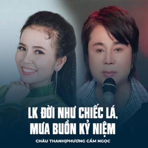 LK Đời Như Chiếc Lá, Mưa Buồn Kỷ Niệm