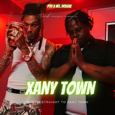 Xany Town (feat. Mt. Dollaz) - Single