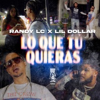 Lo Que Tu Quieras (feat. Lil Dollar) - Single - Randy LC