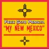 My New Mexico