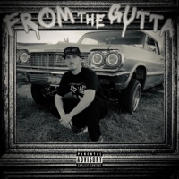 From the Gutta - Big Ant