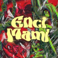 Encimami (feat. Papi Gio & A. F. Angüis) - Single - Beat Paradiso