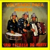 Forró baiano - TRIO ESTRELA DO NORTE cover art