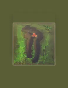 Errol Vibes सुनें, म्यूज़िक वीडियो देखें, बायो पढ़ें, दौरे की तारीखें और बहुत कुछ देखें!