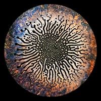 Hiver - Single - NTFO