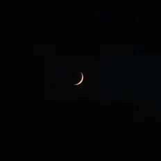 Ziggy सुनें, म्यूज़िक वीडियो देखें, बायो पढ़ें, दौरे की तारीखें और बहुत कुछ देखें!