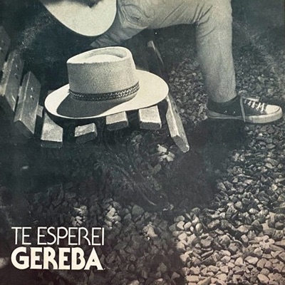 Te Esperei
