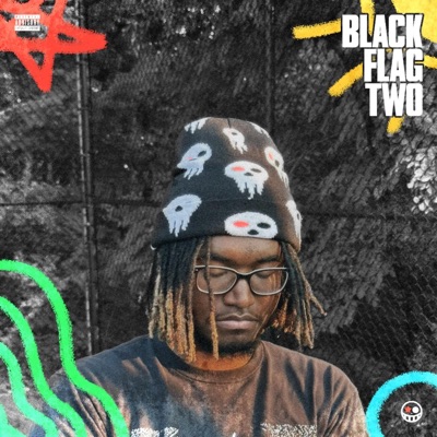 Black Flag 2