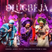 Olùgbèjà (feat. Shallom Matthew & OBA) artwork