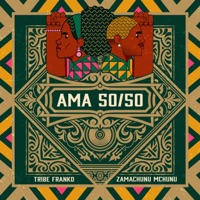 Ama 50 50 (feat. Zamachunu Mchunu) - Single - Tribe Franko