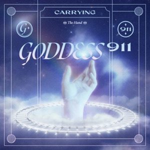 Carrying - Single