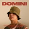 SLM - Nico Domini lyrics