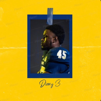 Diary 3 : The Last Chapter