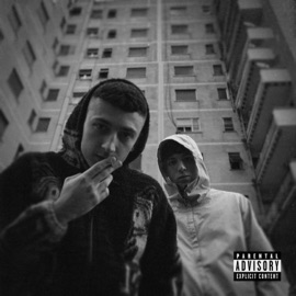 BLACK SWANS (feat. DieZ & DAJ) Desaparesidos