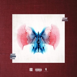 Only Solution (feat. Ferro Haze) Richie P. Goldchain