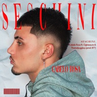 Cabelo Rosa (feat. ogtreasure & tharealjuggboy) - Single - Seschini