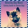 Feel Content - Relaxmydog, Dog Music Dreams & Dog Music