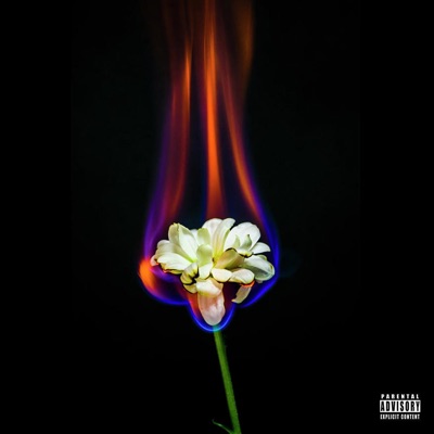 Fiction Rooted In Truth