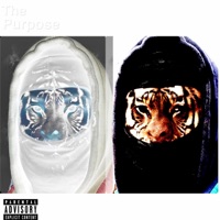 Assassin Freestyle - Single - Big Yeygo