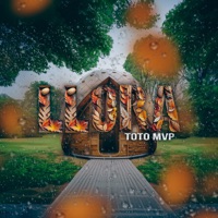 Llora - Single - Toto MVP