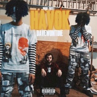 Havok - Single - davewontdie