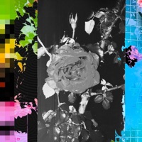 Sonic Wallpaper Vol: I - Podge