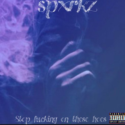 Stop Fucking On These Hoes - Single