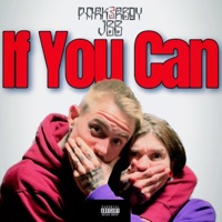 If You Can (feat. JBB) - Single - Park3rBoy