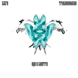 Иди и смотри ВЖГП & Травмоопасно