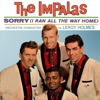 The Impalas Presenting Sorry, 1959