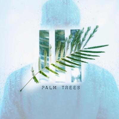 Palm Trees - Single