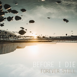 Before I Die - Single