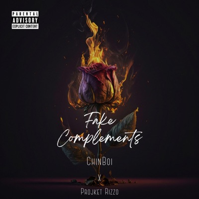Fake Complements (feat. Projekt Rizzo) - Single