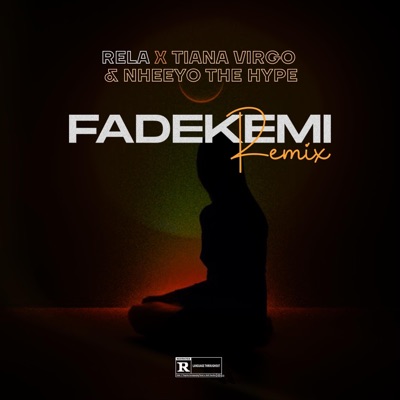 Fadekemi (Remix) - Single