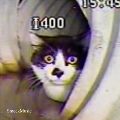 sewer cat (feat. PixelSpider) [Radio Edit] - Single