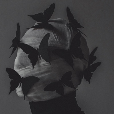 Knowing Is Not Enough - Single