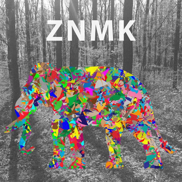 Synth Moth - EP