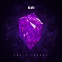 Peito Aberto - Single - Budah