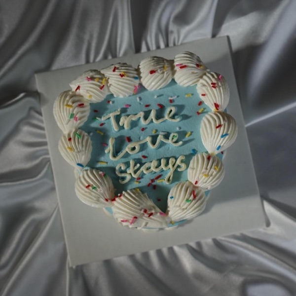 True Love Stays - Single