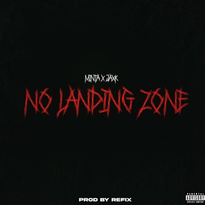 No Landing Zone - Single