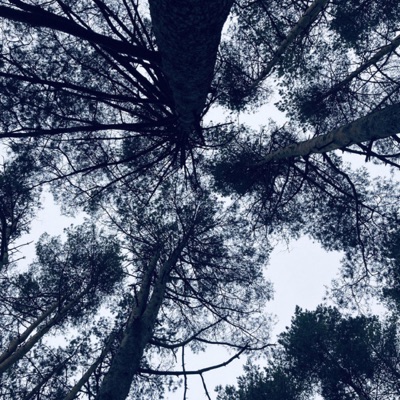 Hiding In the Dark - Single