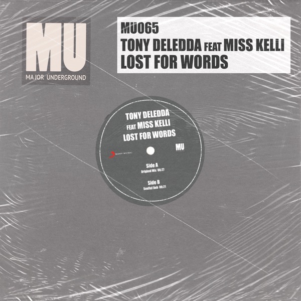 Loss for Words (feat. Miss Kelli) - Single